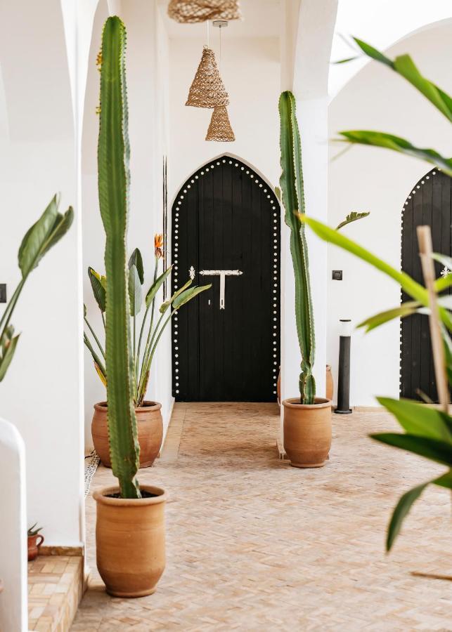 The Yogi Surfer - Villa Tamraght エクステリア 写真